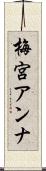 梅宮アンナ Scroll
