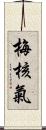 梅核氣 Scroll