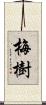 梅樹 Scroll