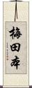 梅田本 Scroll