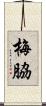 梅脇 Scroll