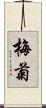 梅菊 Scroll