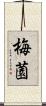 梅薗 Scroll