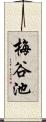 梅谷池 Scroll