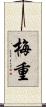梅重 Scroll