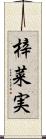 梓菜実 Scroll