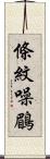 條紋噪鶥 Scroll