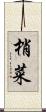 梢菜 Scroll