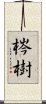 梣樹 Scroll