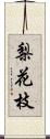 梨花枝 Scroll