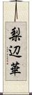 梨辺華 Scroll