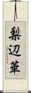 梨辺華 Scroll