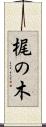 梶の木 Scroll