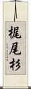 梶尾杉 Scroll