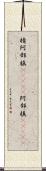 棈 Scroll