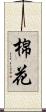 棉花 Scroll