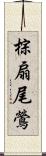 棕扇尾鶯 Scroll