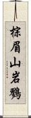 棕眉山岩鷚 Scroll