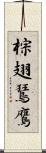 棕翅鵟鷹 Scroll