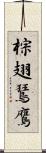 棕翅鵟鷹 Scroll