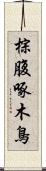 棕腹啄木鳥 Scroll