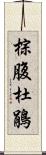 棕腹杜鵑 Scroll