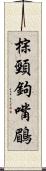 棕頸鉤嘴鶥 Scroll