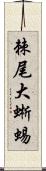 棘尾大蜥蜴 Scroll