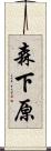 森下原 Scroll