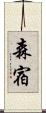森宿 Scroll