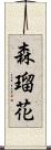 森瑠花 Scroll