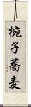 椀子蕎麦 Scroll