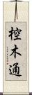 椌木通 Scroll