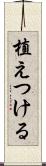 植えつける Scroll