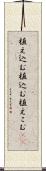 植え込む Scroll