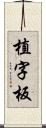 植字板 Scroll