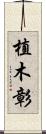 植木彰 Scroll