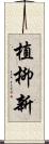 植柳新 Scroll