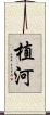 植河 Scroll