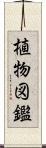 植物図鑑 Scroll