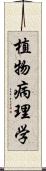 植物病理学 Scroll