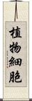 植物細胞 Scroll