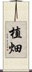 植畑 Scroll