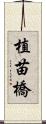 植苗橋 Scroll