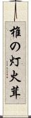 椎の灯火茸 Scroll