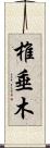 椎垂木 Scroll