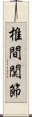 椎間関節 Scroll