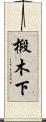 椴木下 Scroll