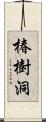 椿樹洞 Scroll