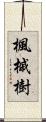 楓 Scroll